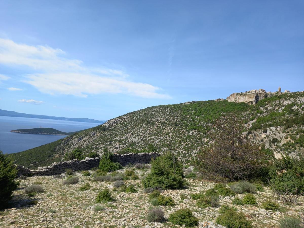 Panorama *