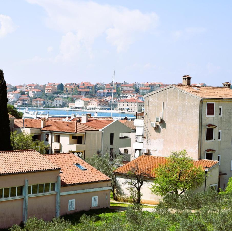 Panorama *