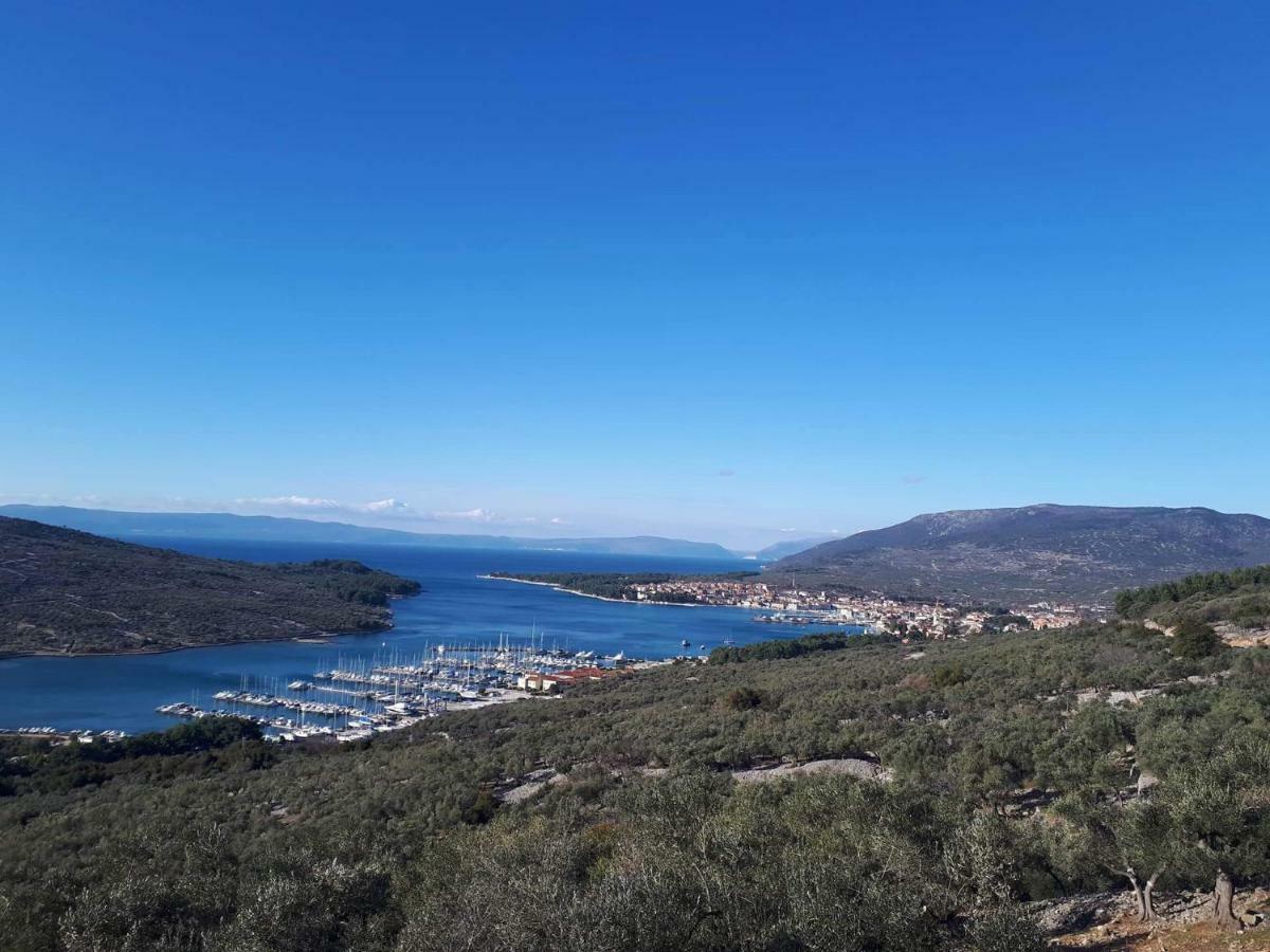 Panorama *